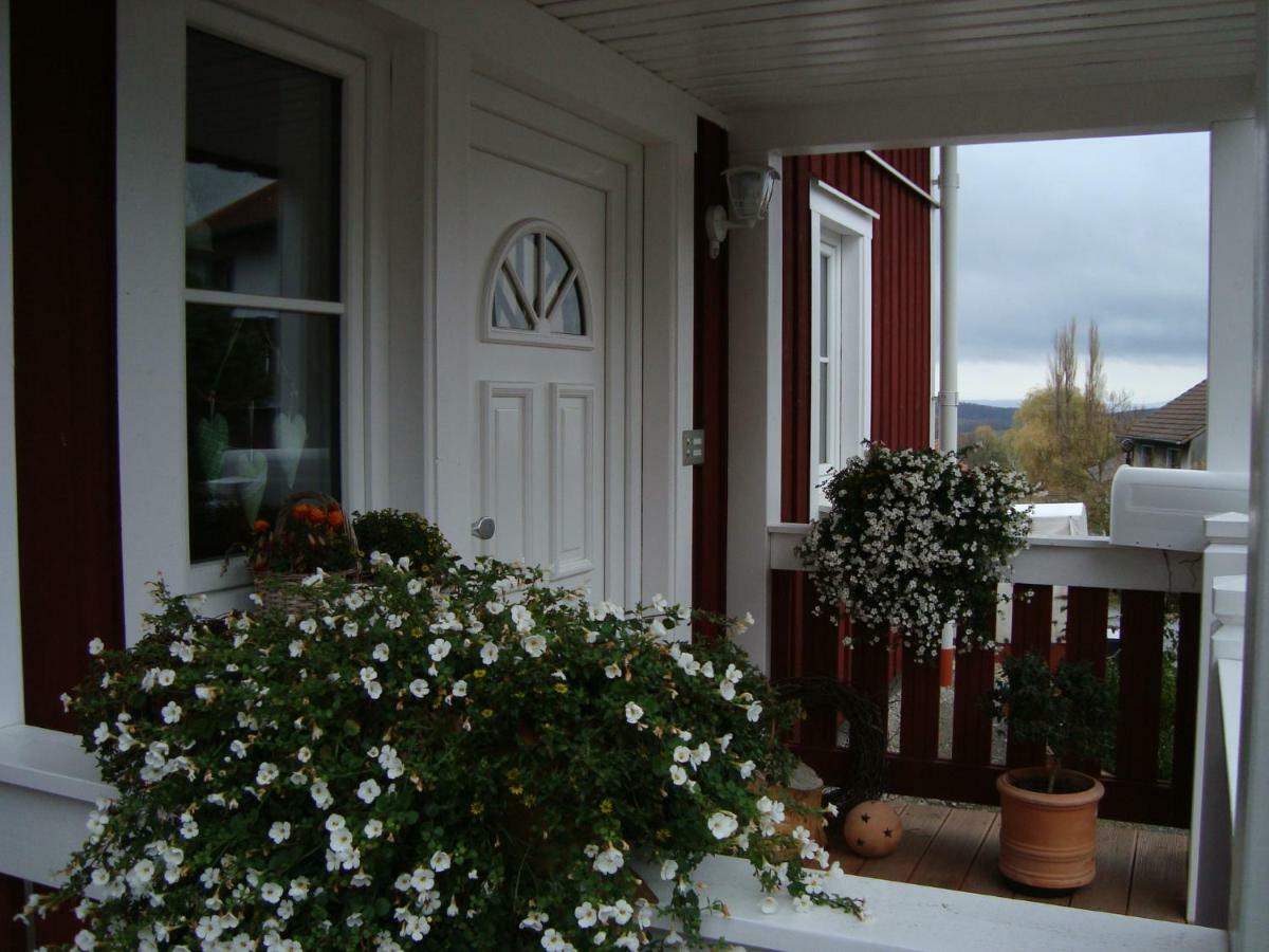 Haus Nordlicht Lejlighed Horn-Bad Meinberg Eksteriør billede
